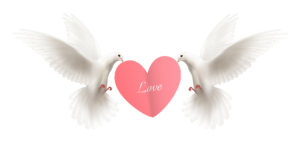 dove-6