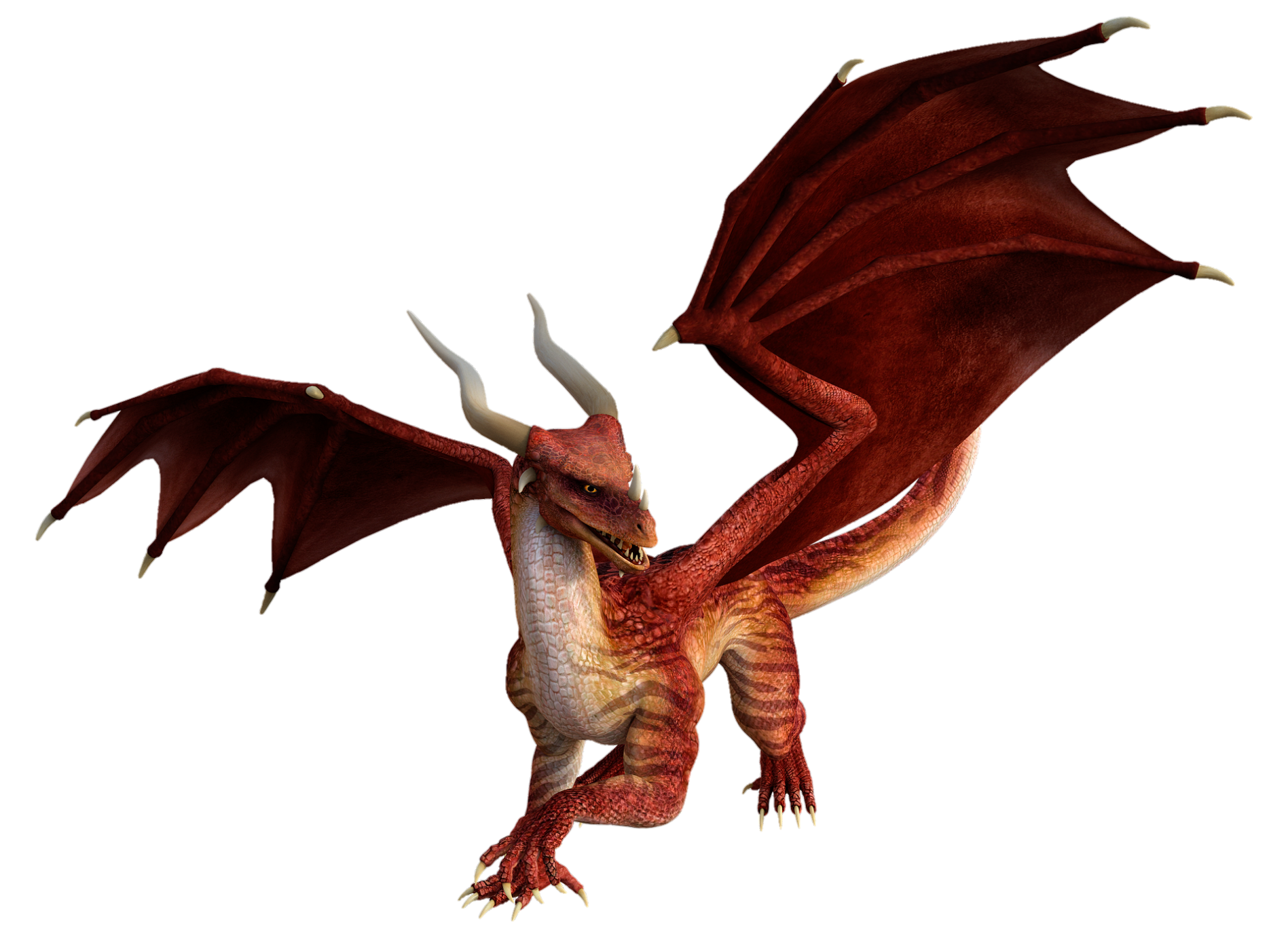 dragon-24