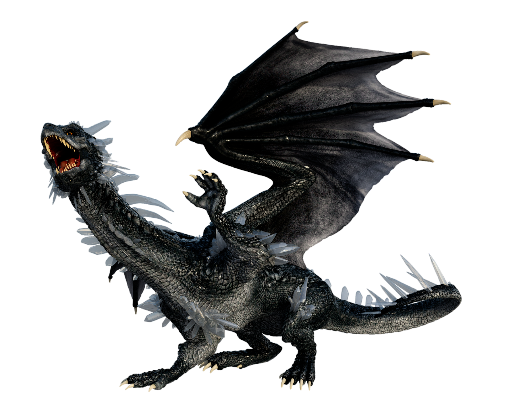 dragon-28
