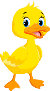 Yellow Baby Duck Cartoon PNG