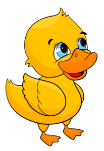 Yellow Baby Duck clipart PNG