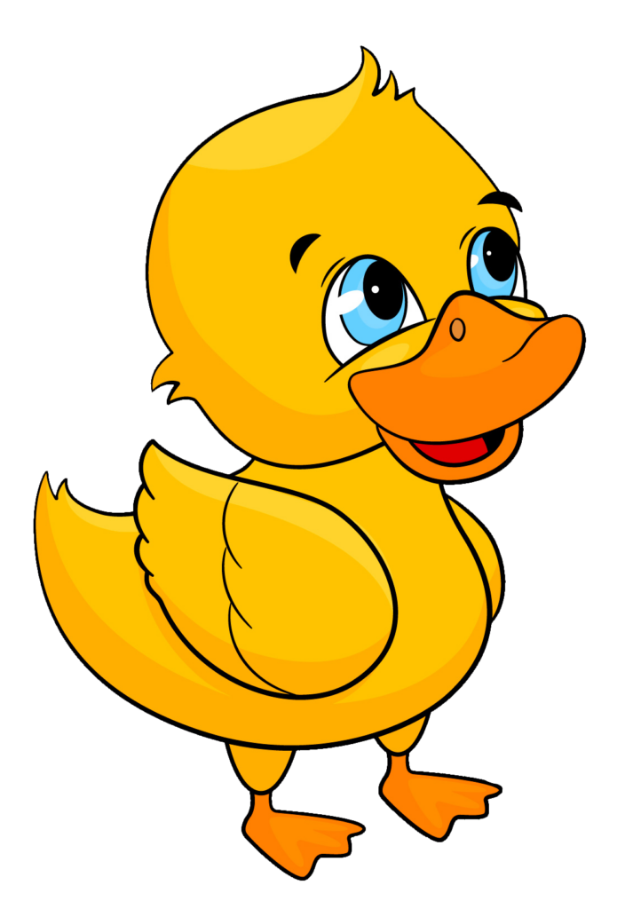 Duck PNG Transparent Images Free Download - Pngfre