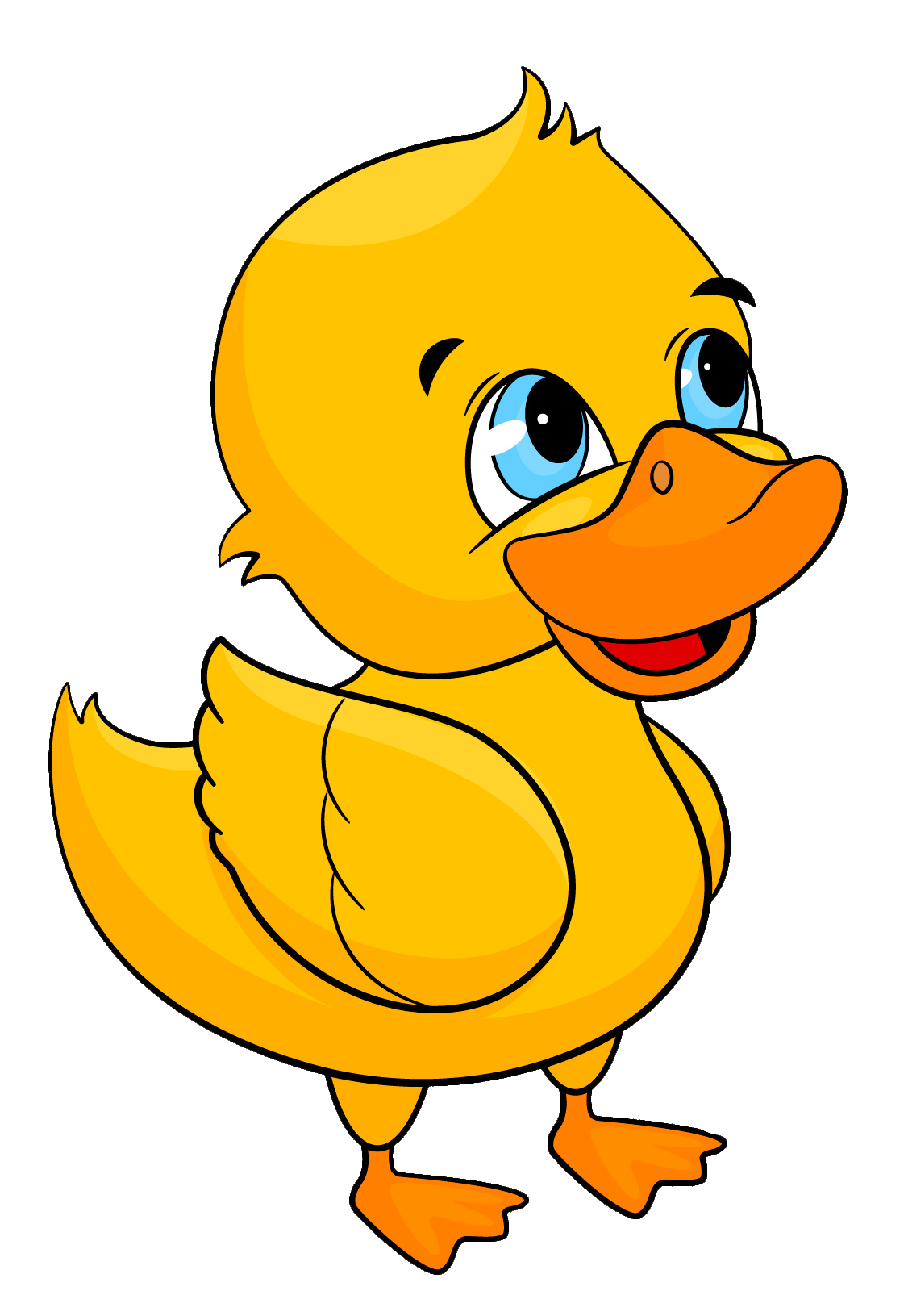 duck-58