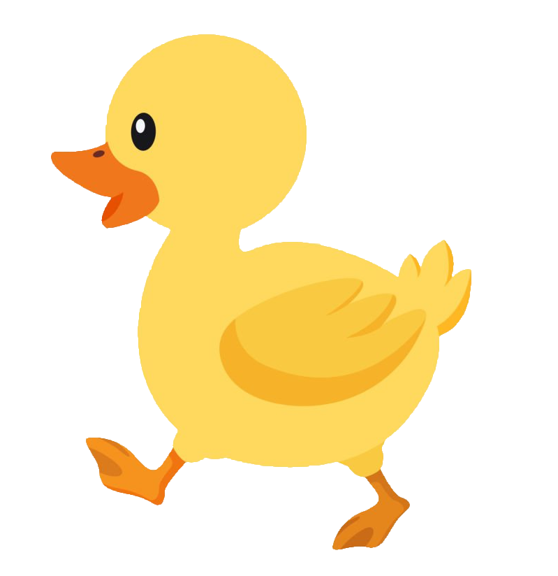 duck-66