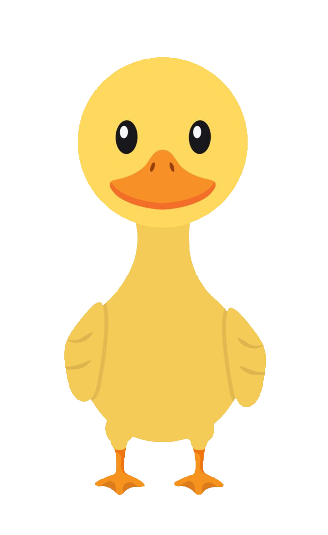 duck-67