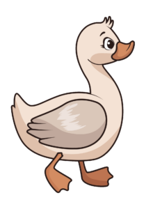 Duck clipart PNG