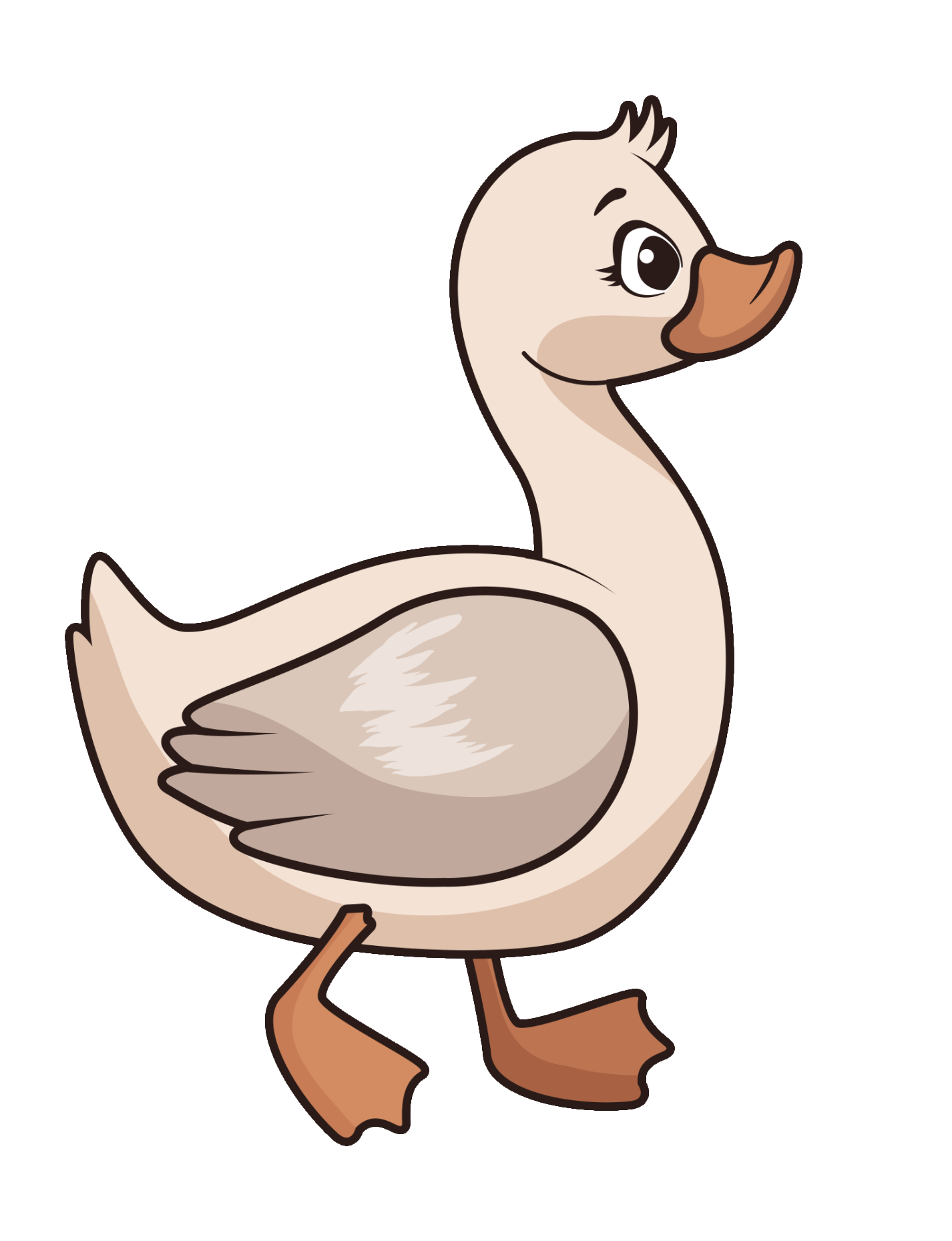 duck-79