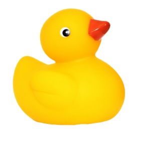 Yellow Rubber Duck PNG