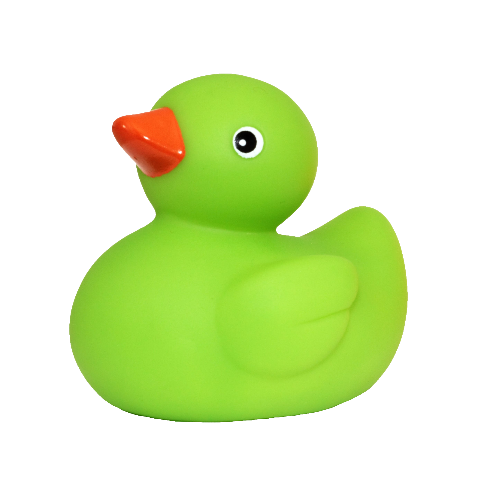 duck-85