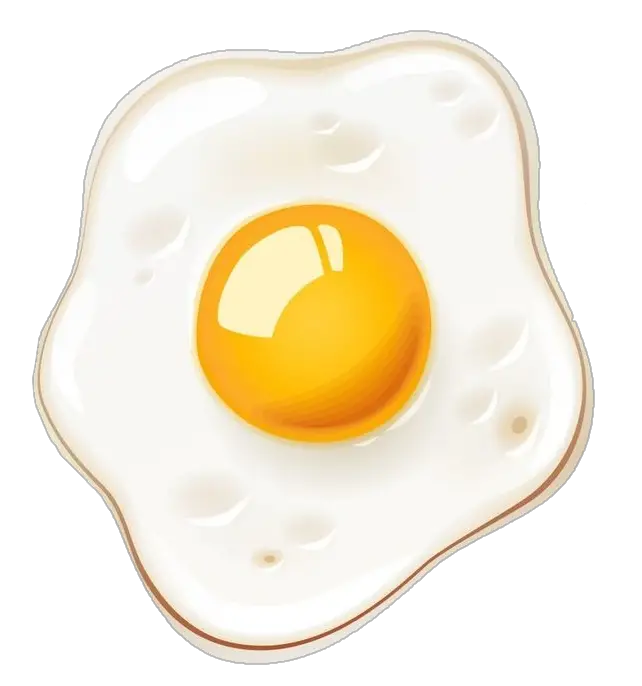 Cooked Egg Png Vector