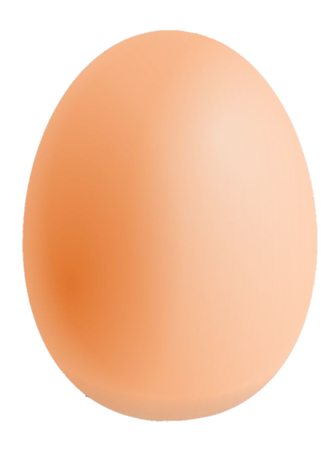 Transparent Brown Egg Png