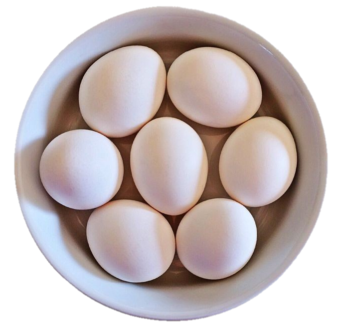 Eggs in Bowl 