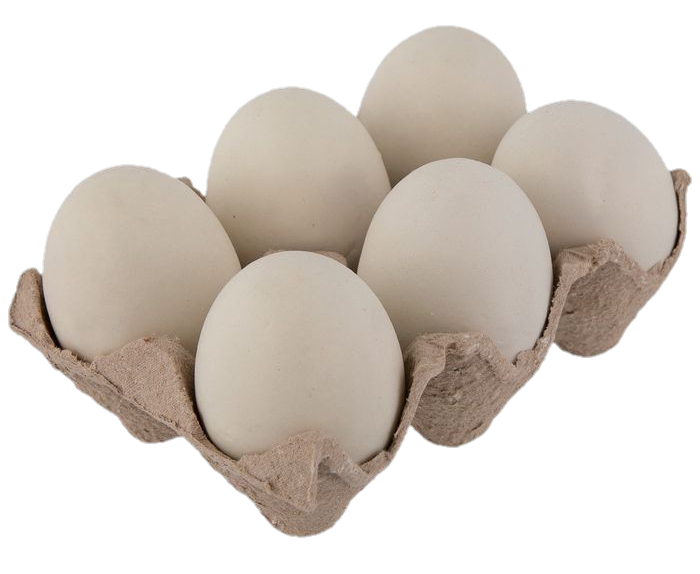 Egg Png in Tray