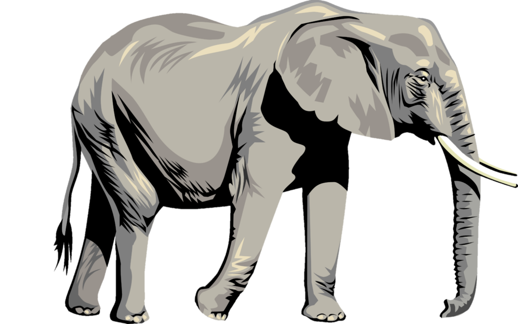 Elephant Png Vector 