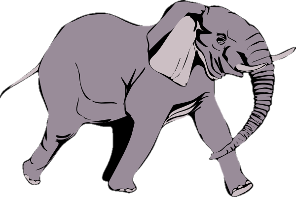Elephant Png clipart