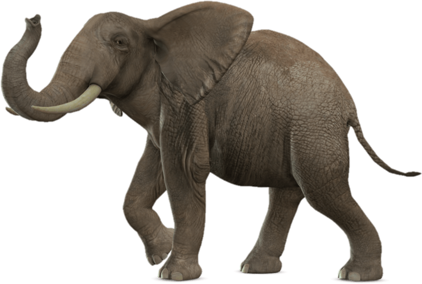Animated Elephant Png