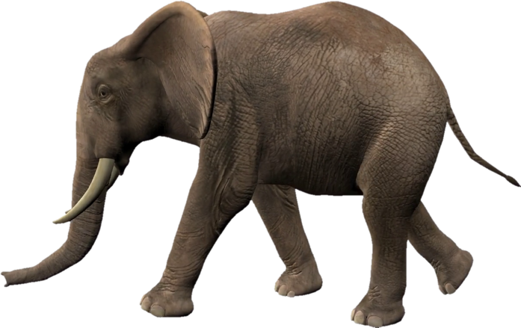 high resolution Elephant Png
