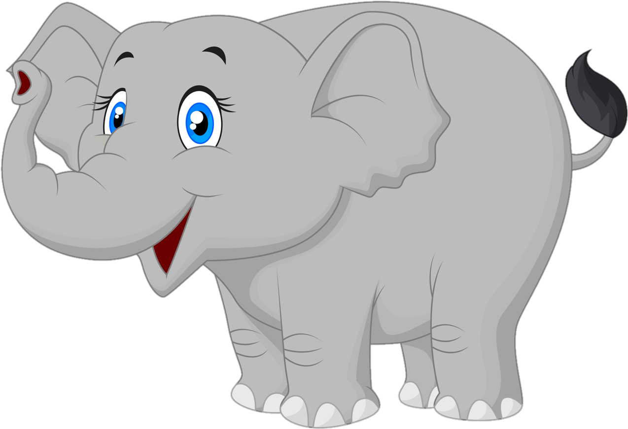 elephant-8