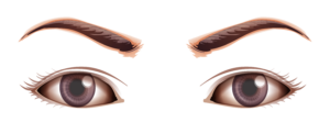 Animated Female Eye Png