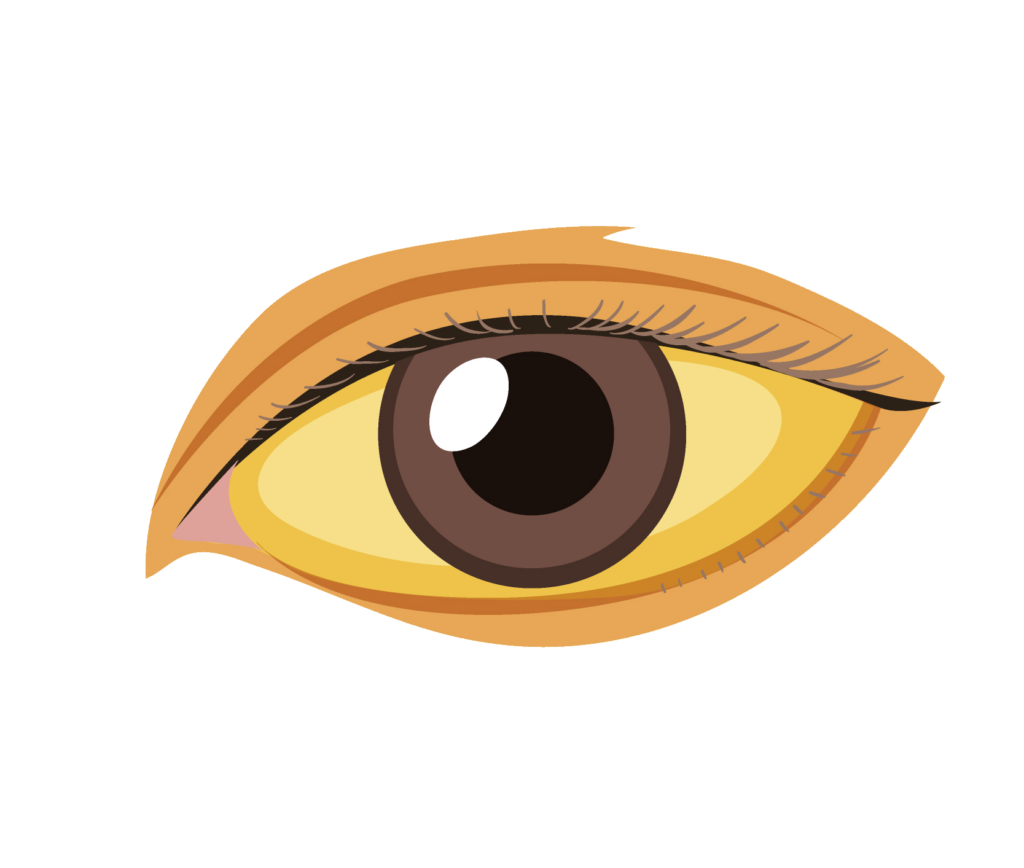 Free download  HD PNG anime eyes PNG transparent with Clear