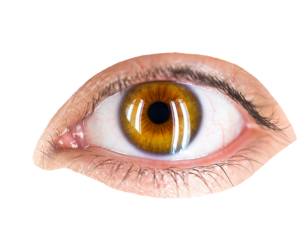 High-resolution Realistic Eye Png