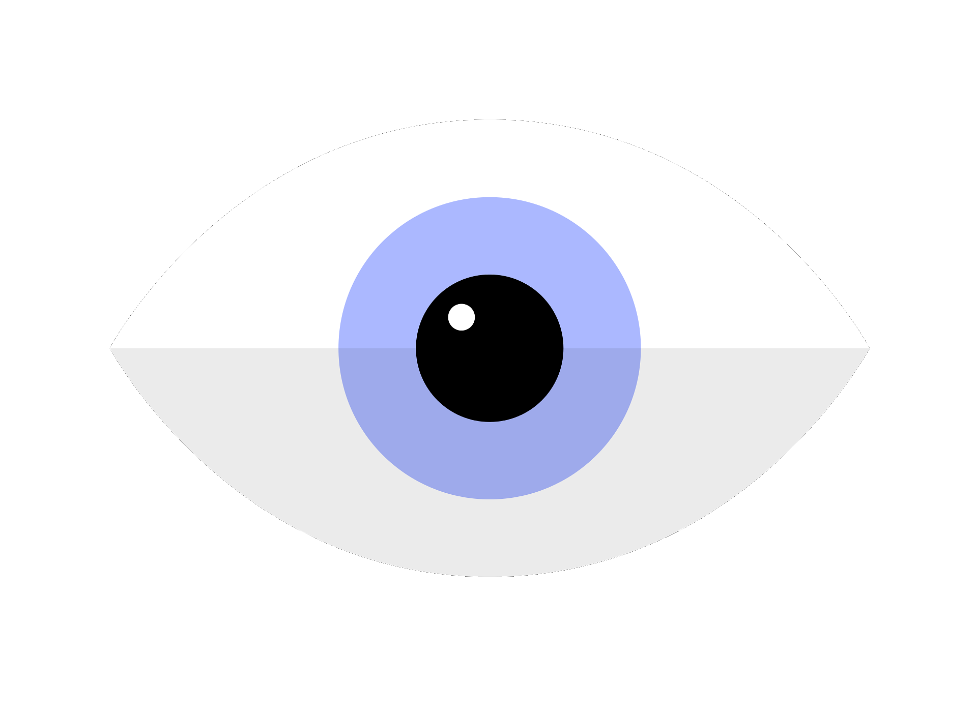 eye-81