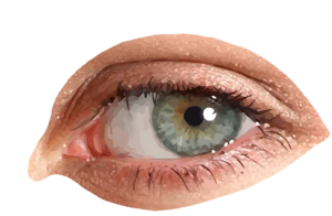 Human Eye Artwork Png
