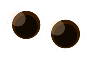 Round Eyes Vector Png