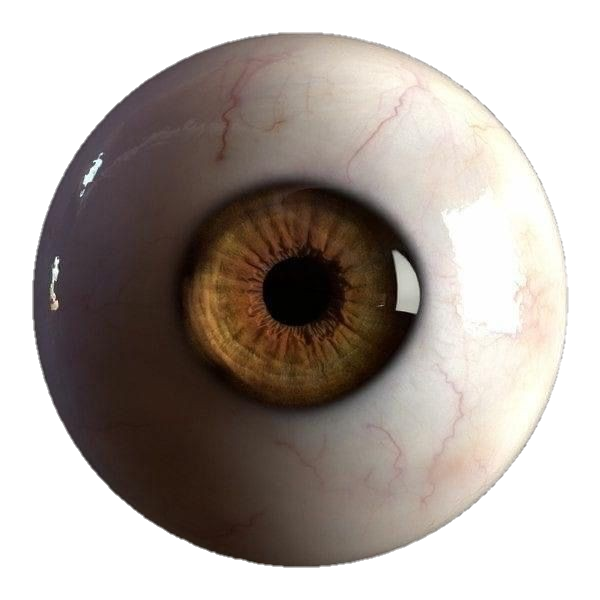 eye-png-from-pngfre-13