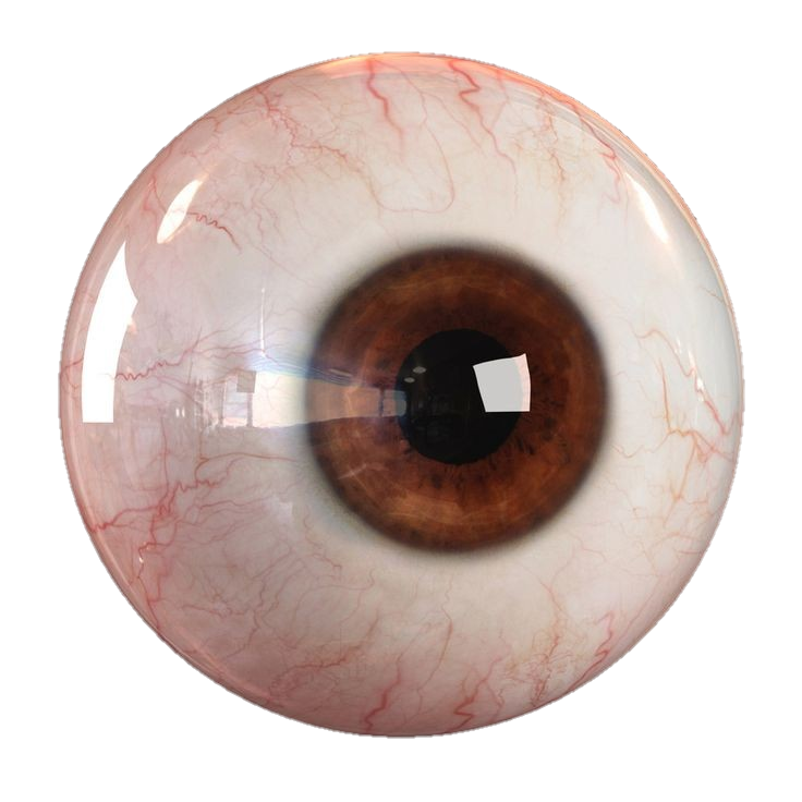 eye-png-from-pngfre-14