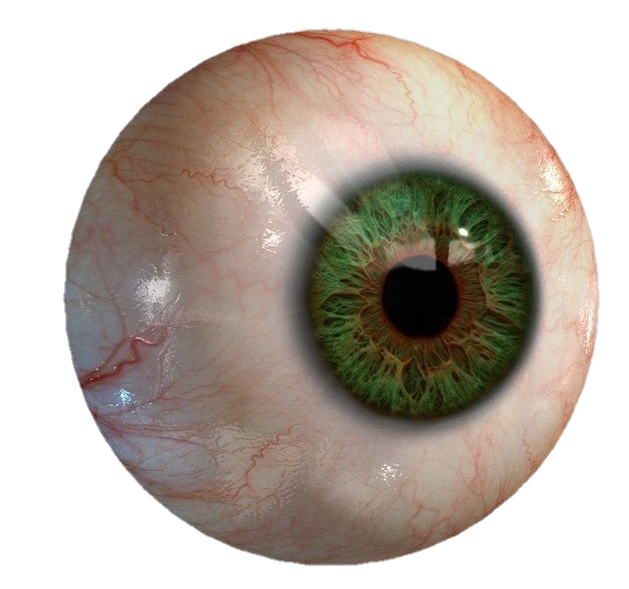 eye-png-from-pngfre-16
