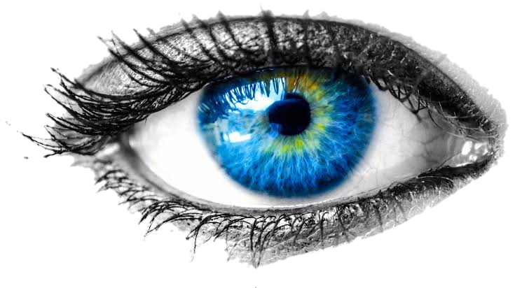 eye-png-from-pngfre-18