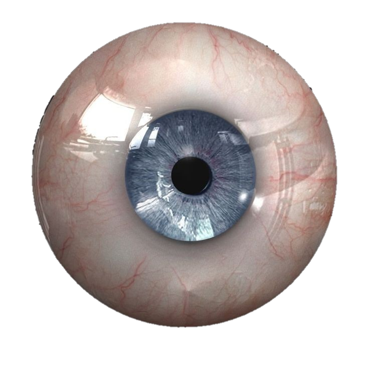 eye-png-from-pngfre-20