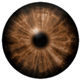 eye-png-from-pngfre-24