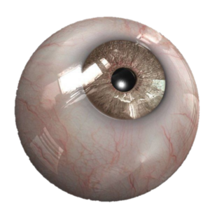 Golden Realistic Eye Png