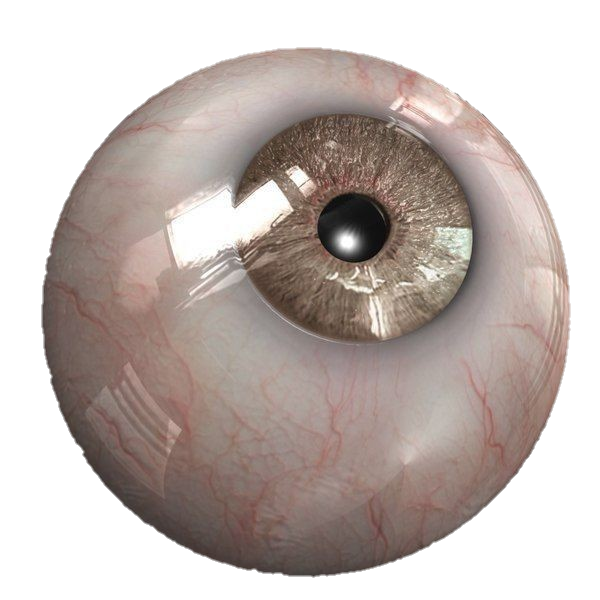 eye-png-from-pngfre-25