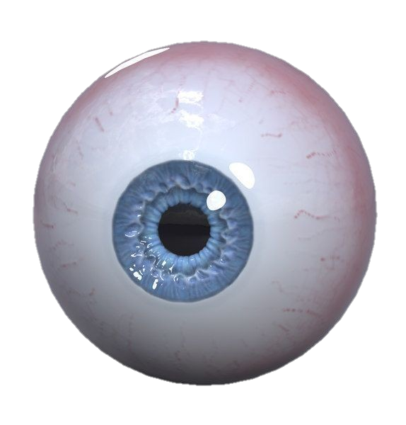 eye-png-from-pngfre-26
