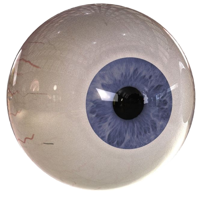 eye-png-from-pngfre-27