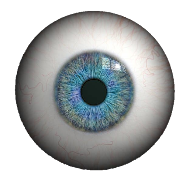 eye-png-from-pngfre-29