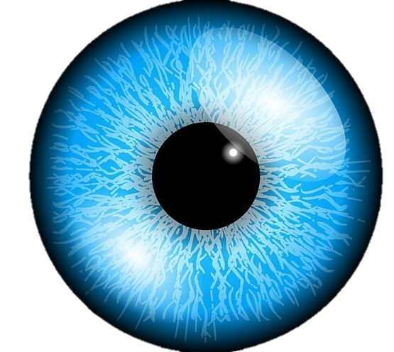 eye-png-from-pngfre-31