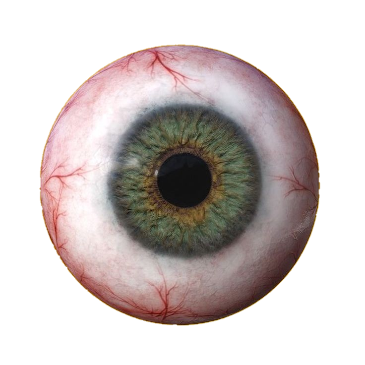 eye-png-from-pngfre-33
