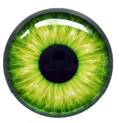 eye-png-from-pngfre-34