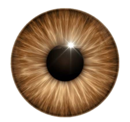 eye-png-from-pngfre-35