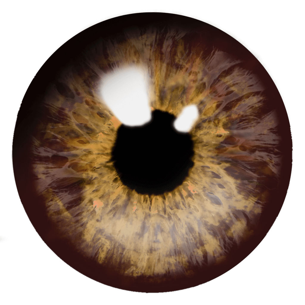 eye-png-from-pngfre-4