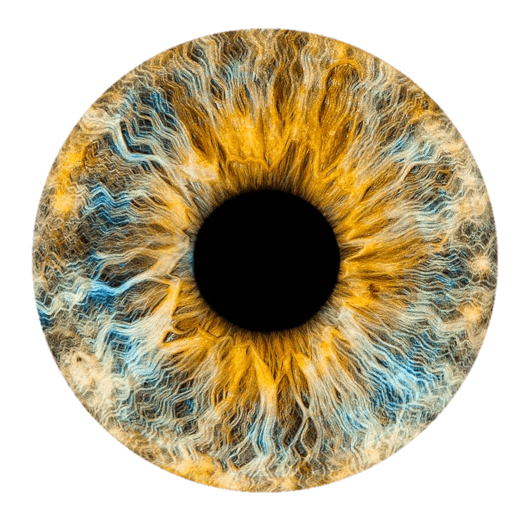 eye-png-from-pngfre-8
