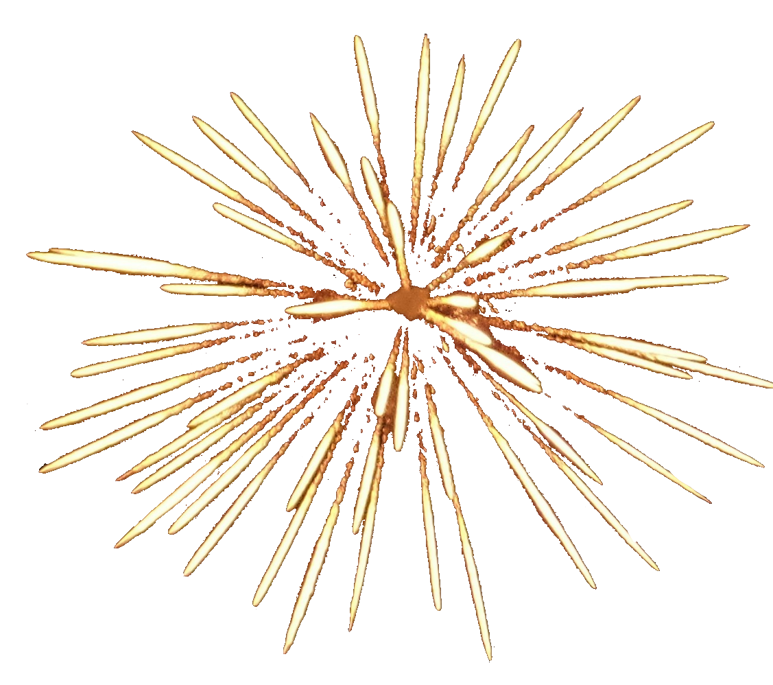 firework106