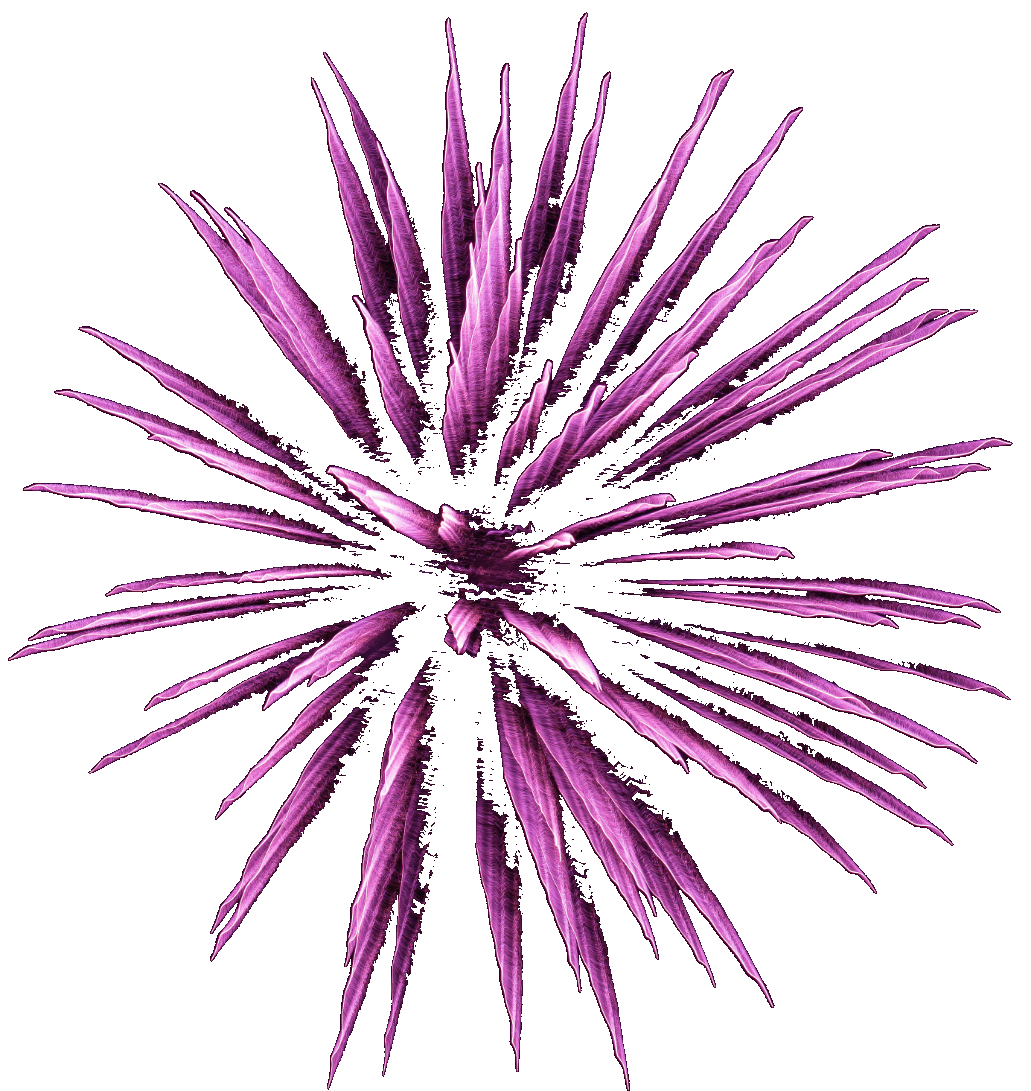 firework111