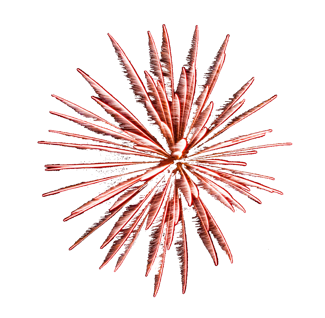 firework131