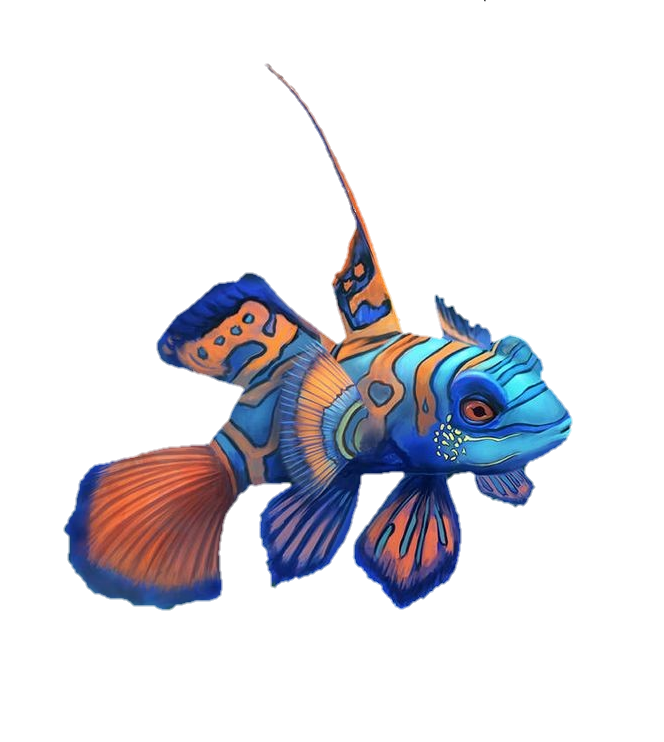 fish-png-from-pngfre-30