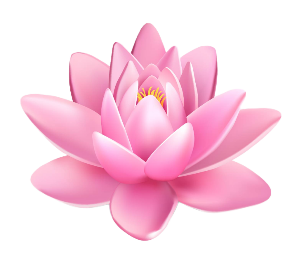 Animated Lotus Flower PNG